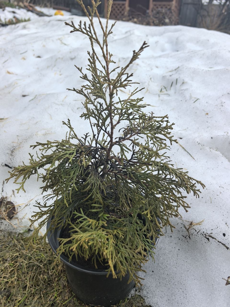 Но есть у меня и одна очень сильно