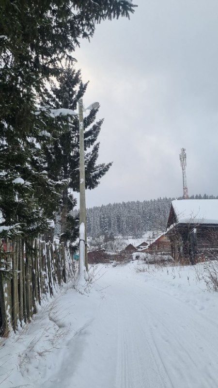 И снова к нам идут морозы... 🥶 Зима