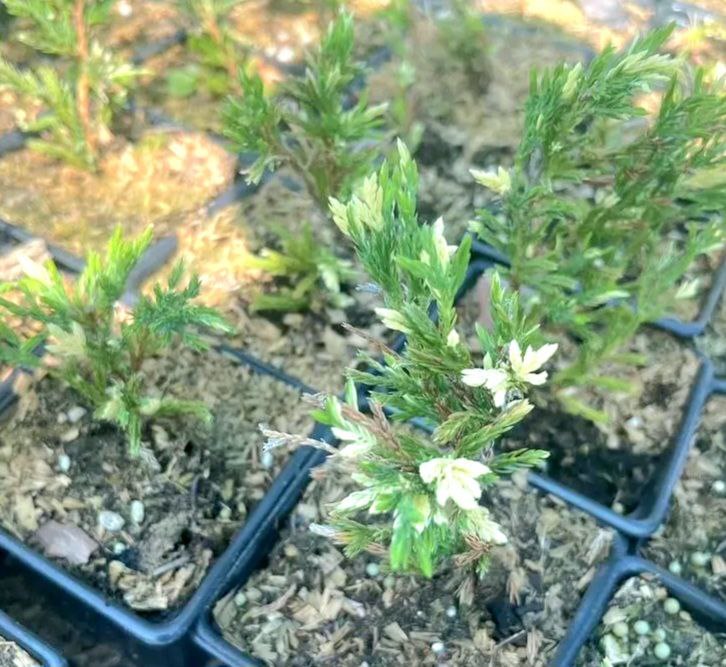 Ну что, весна на подходе? 🌞 Ждём! Усиленно