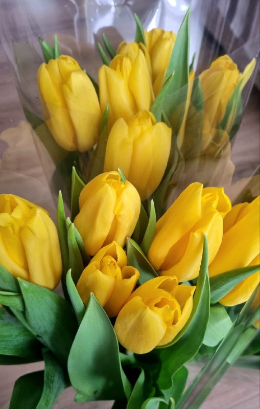 С 8 марта, праздником весны! 💐 ☀️ Весеннего